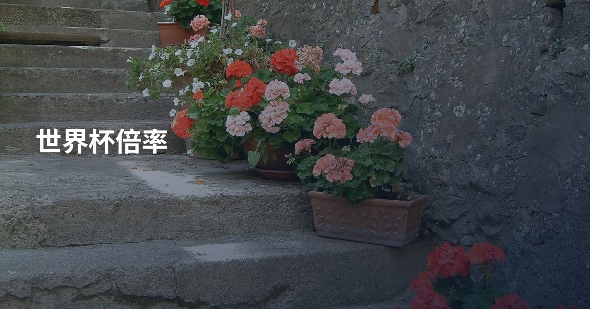 世界杯倍率