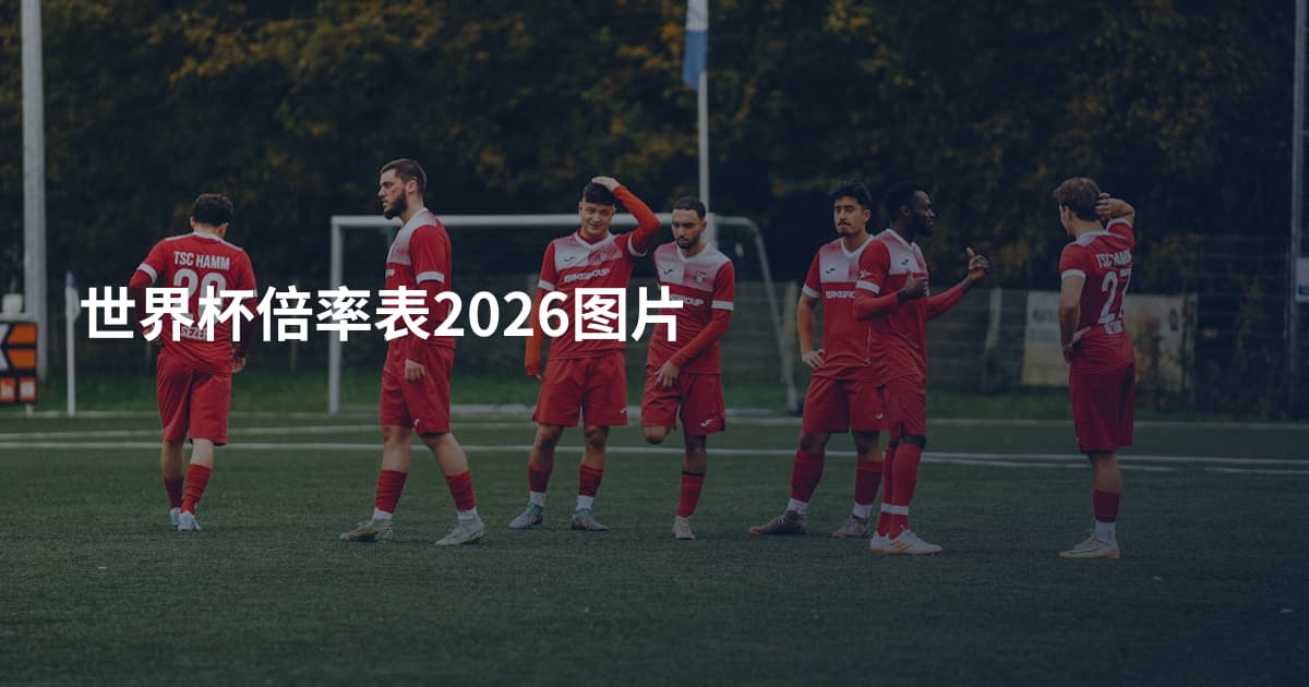 世界杯倍率表2026图片