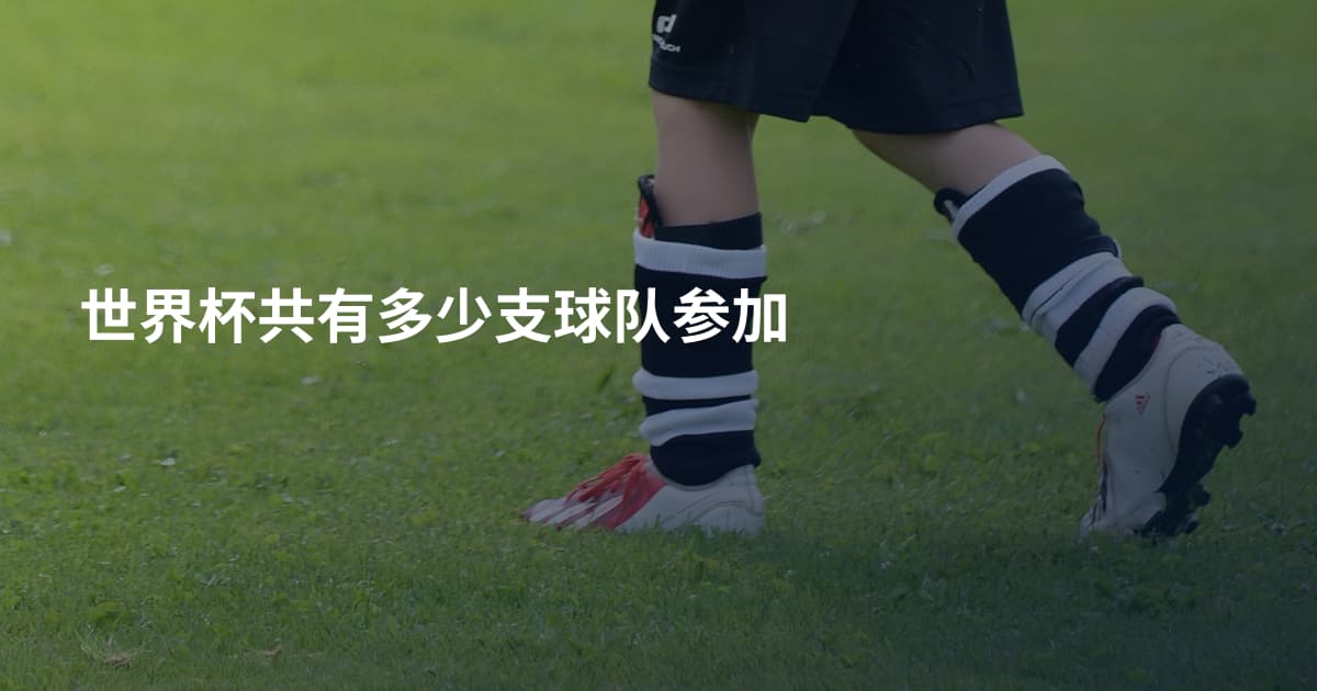 世界杯共有多少支球队参加