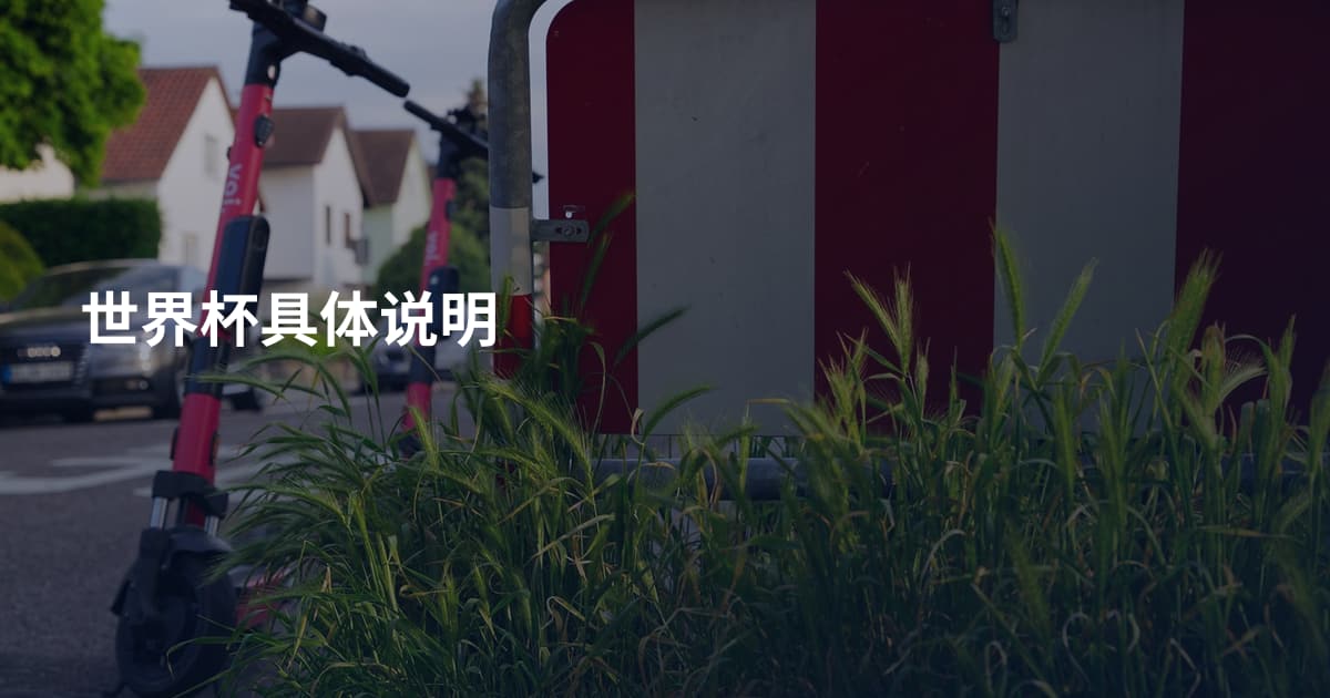 世界杯具体说明