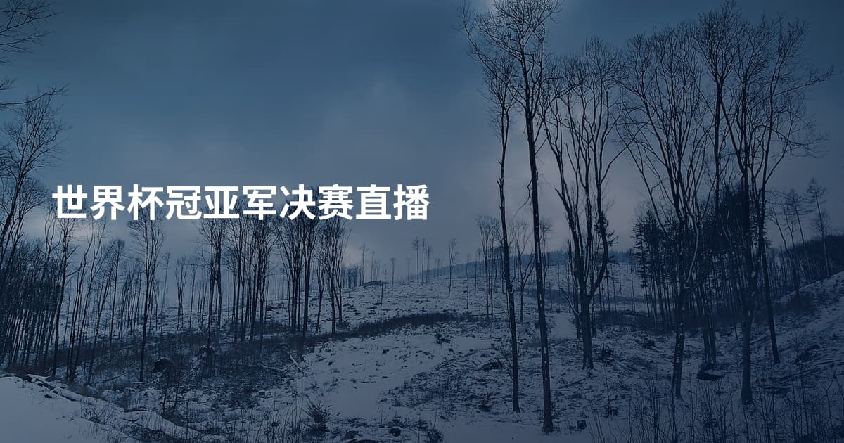 世界杯冠亚军决赛直播