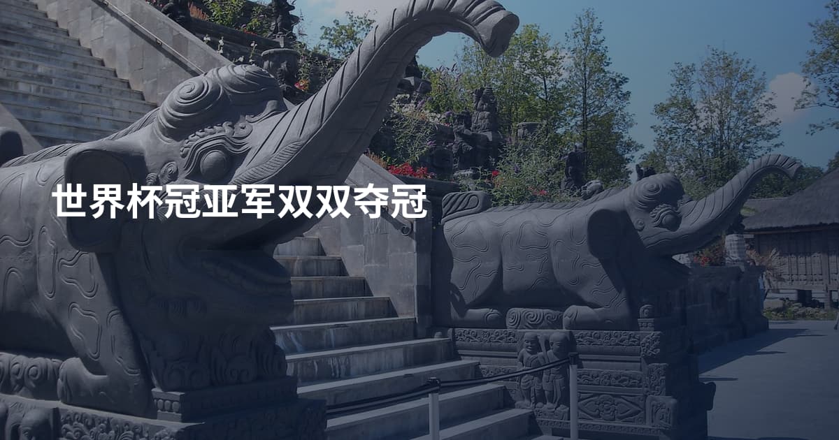 世界杯冠亚军双双夺冠