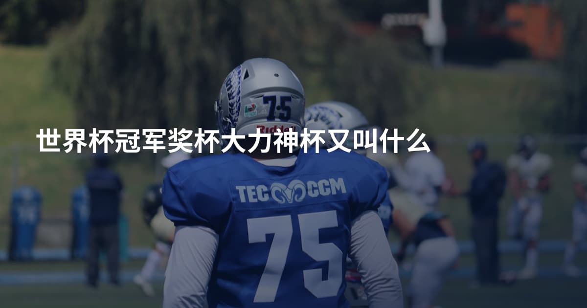 世界杯冠军奖杯大力神杯又叫什么
