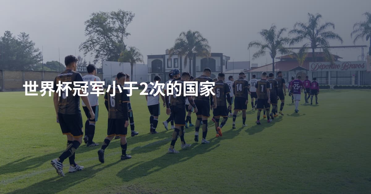 世界杯冠军小于2次的国家