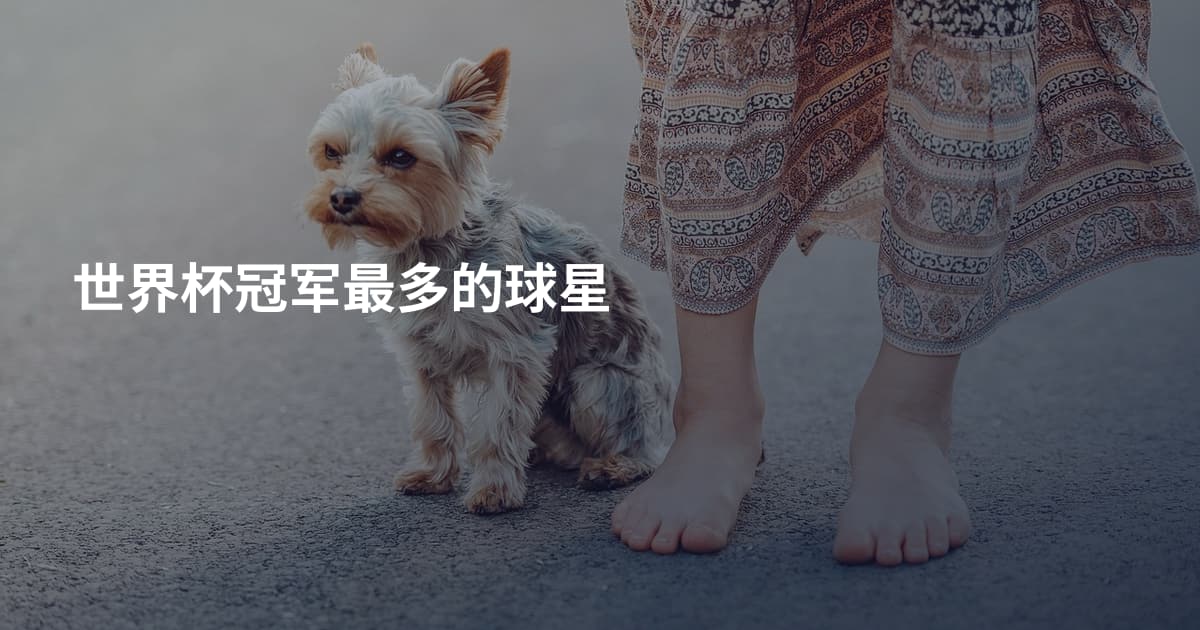 世界杯冠军最多的球星