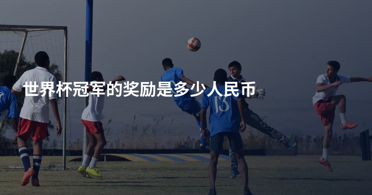 世界杯冠军的奖励是多少人民币