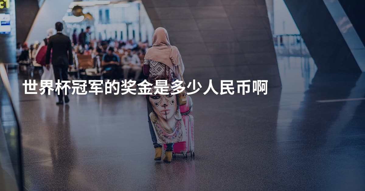 世界杯冠军的奖金是多少人民币啊