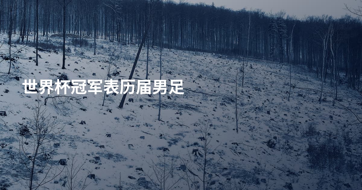 世界杯冠军表历届男足