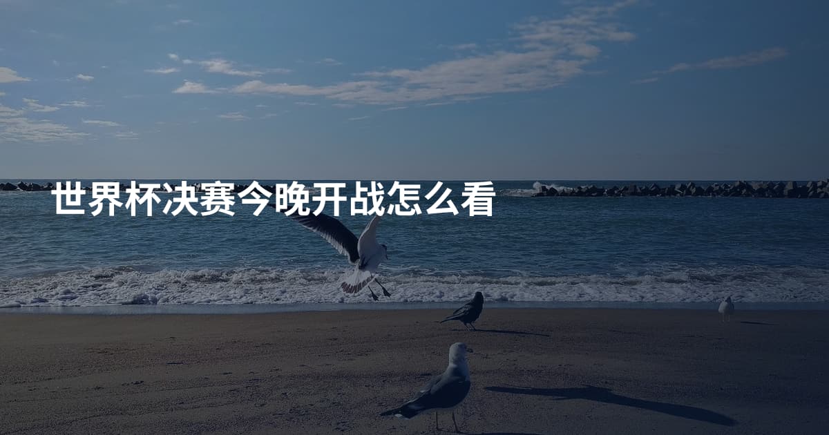 世界杯决赛今晚开战怎么看
