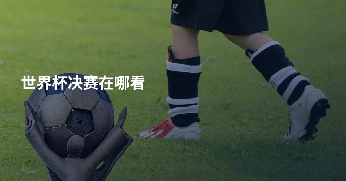 世界杯决赛在哪看