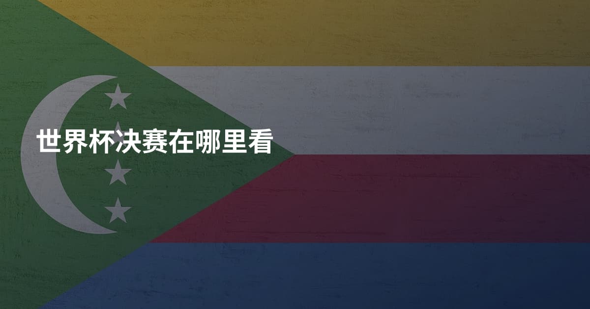 世界杯决赛在哪里看