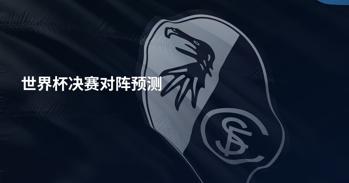 世界杯决赛对阵预测