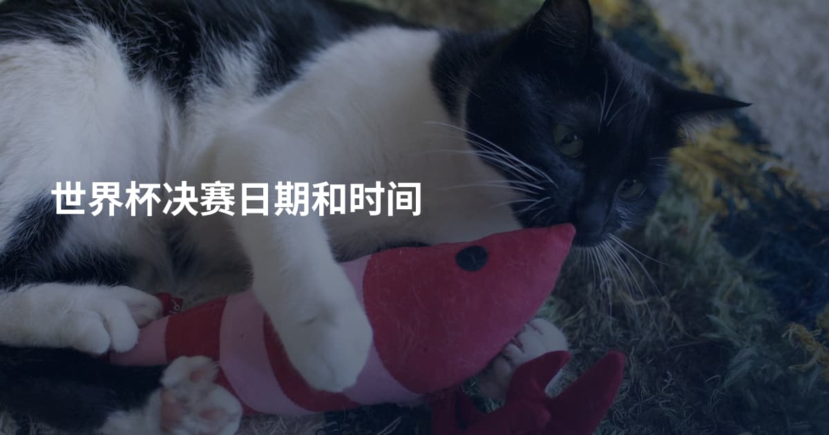 世界杯决赛日期和时间
