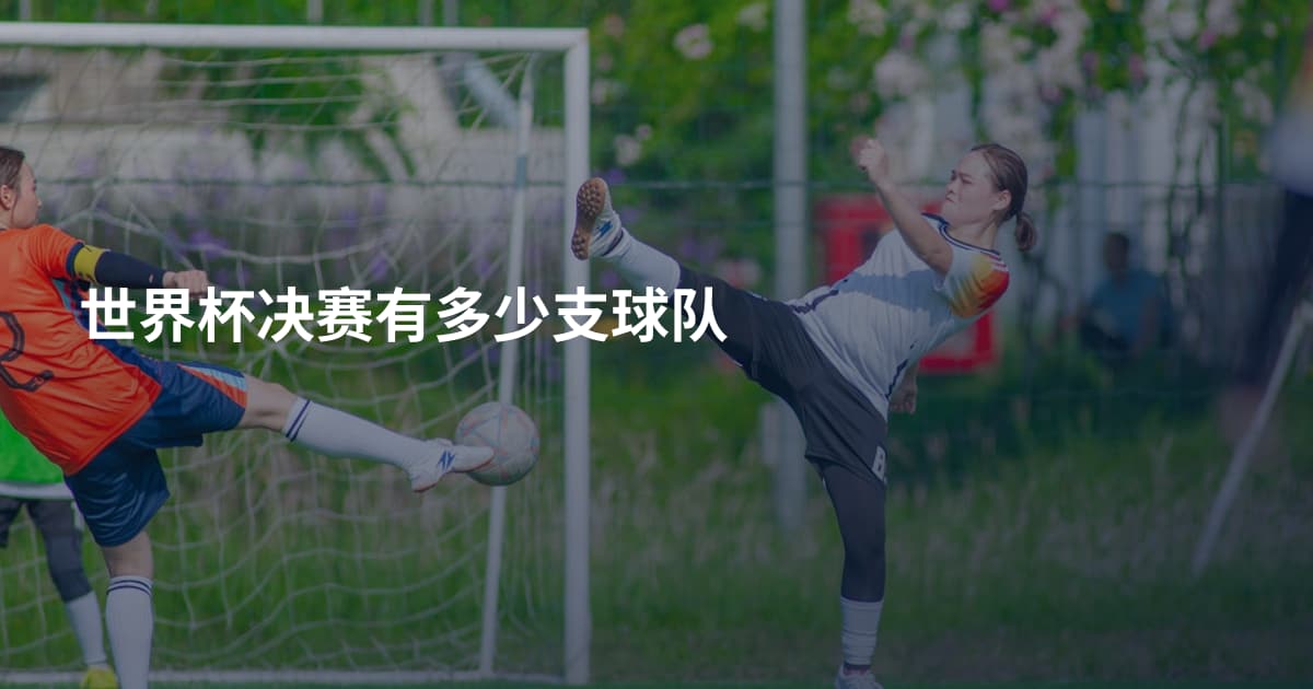 世界杯决赛有多少支球队