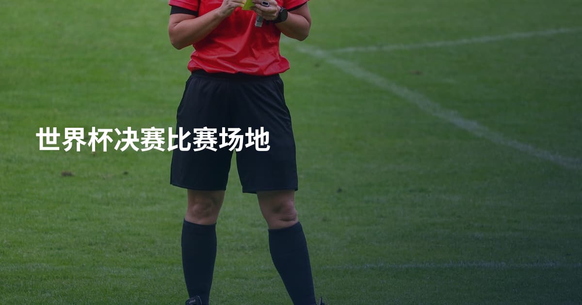世界杯决赛比赛场地