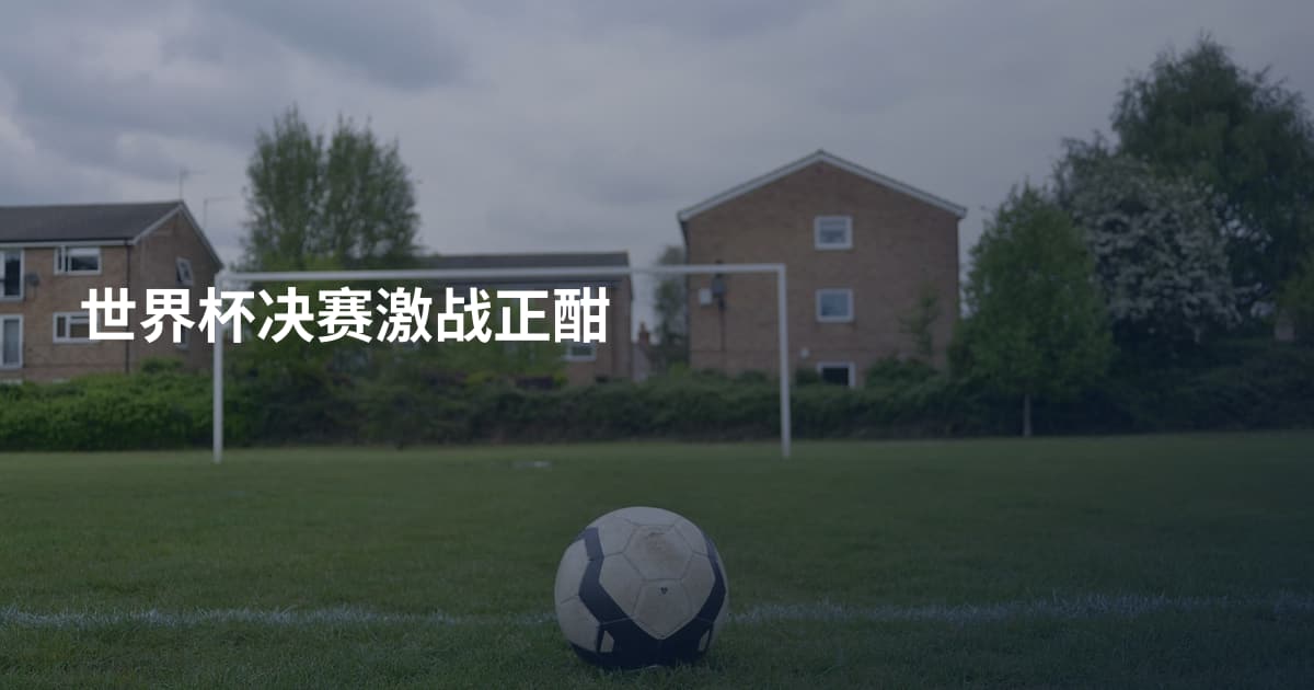 世界杯决赛激战正酣