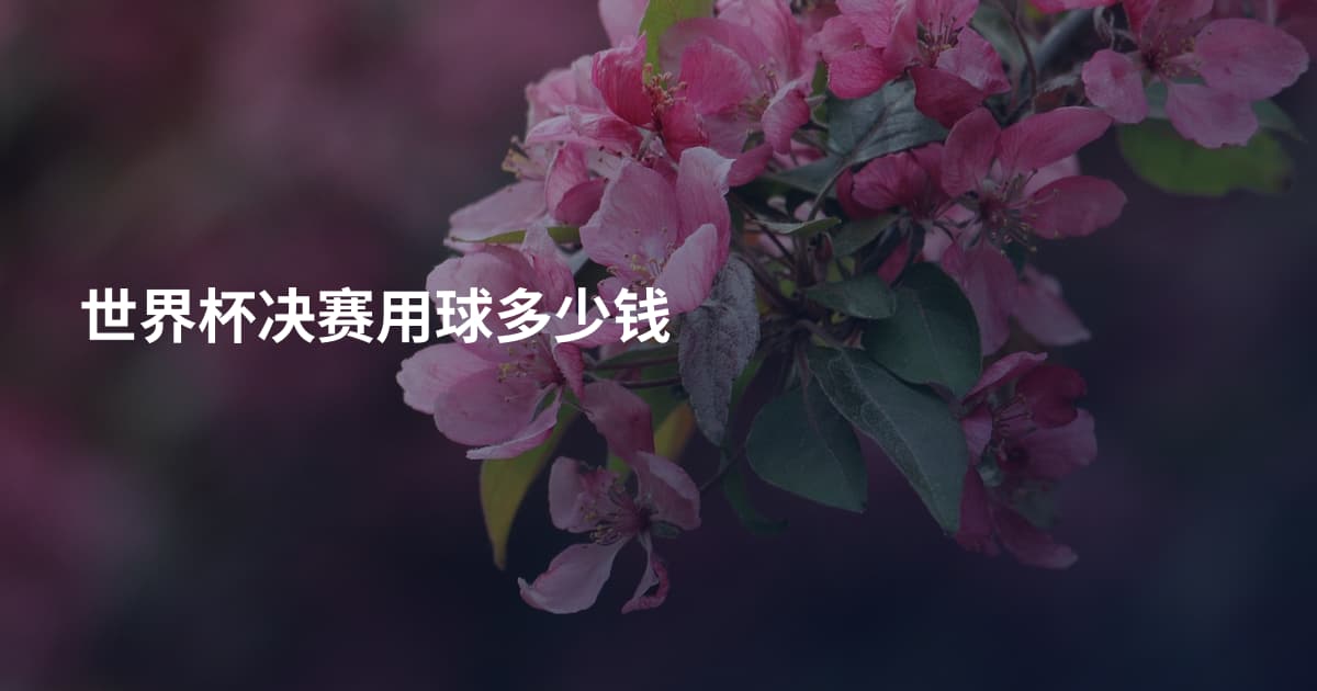 世界杯决赛用球多少钱