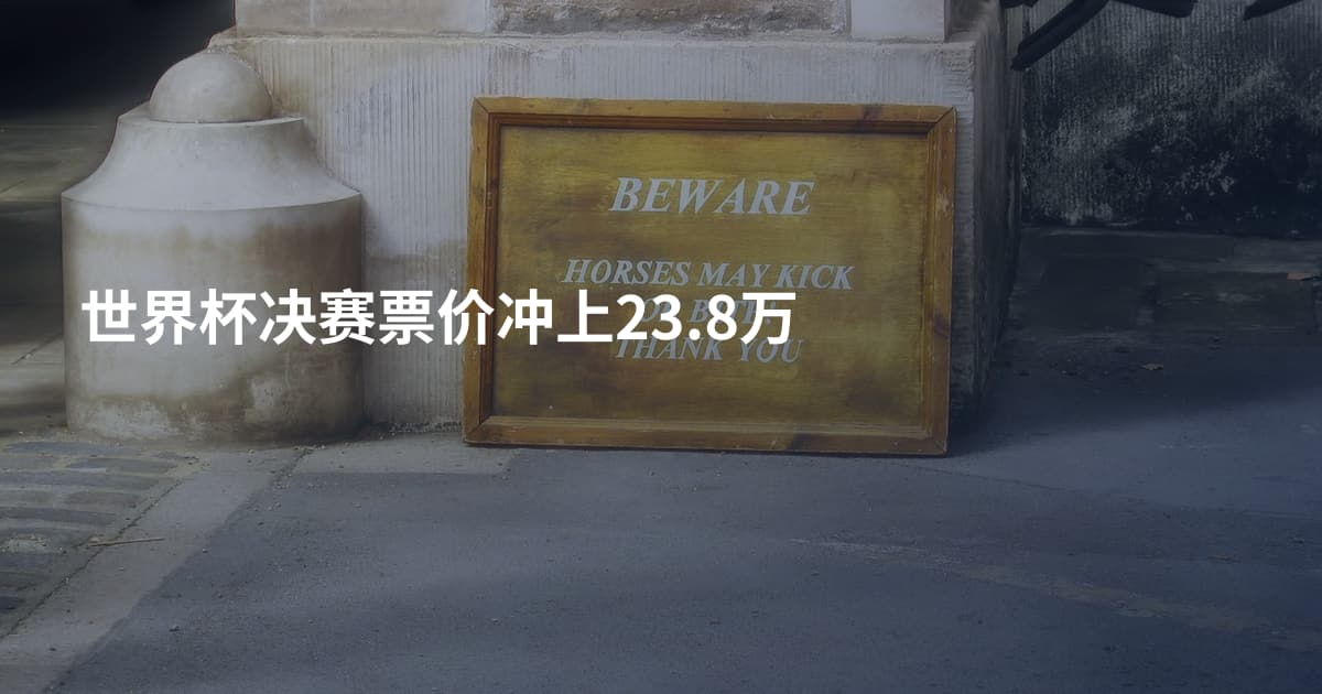 世界杯决赛票价冲上23.8万