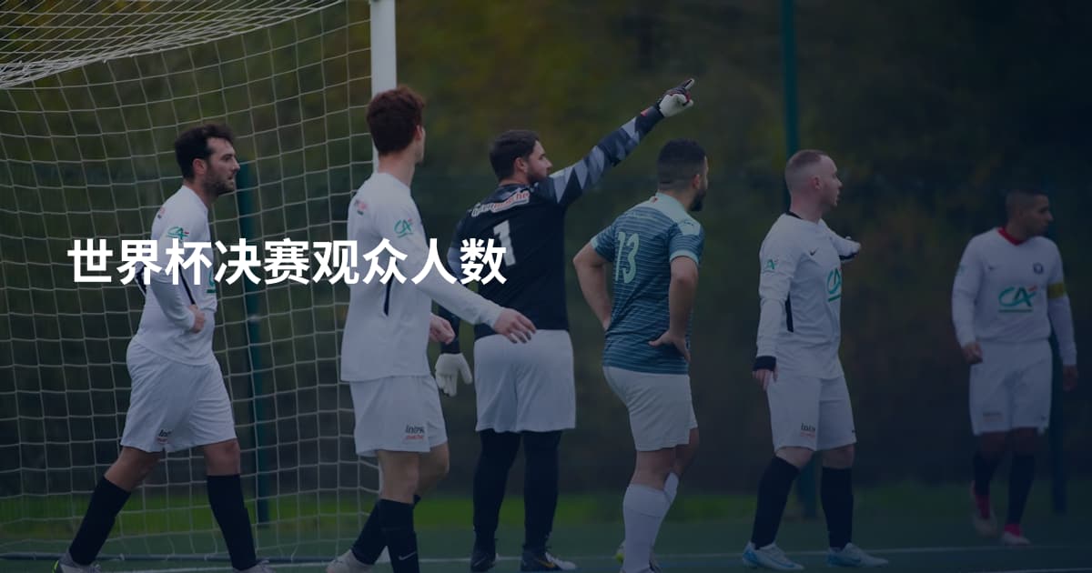 世界杯决赛观众人数