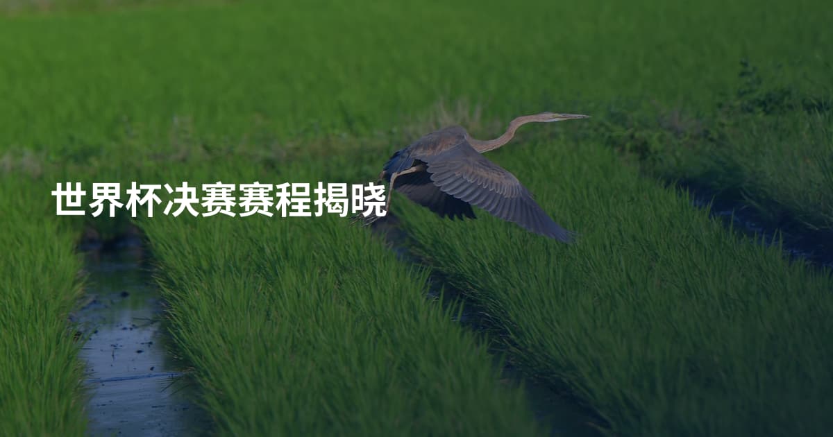 世界杯决赛赛程揭晓