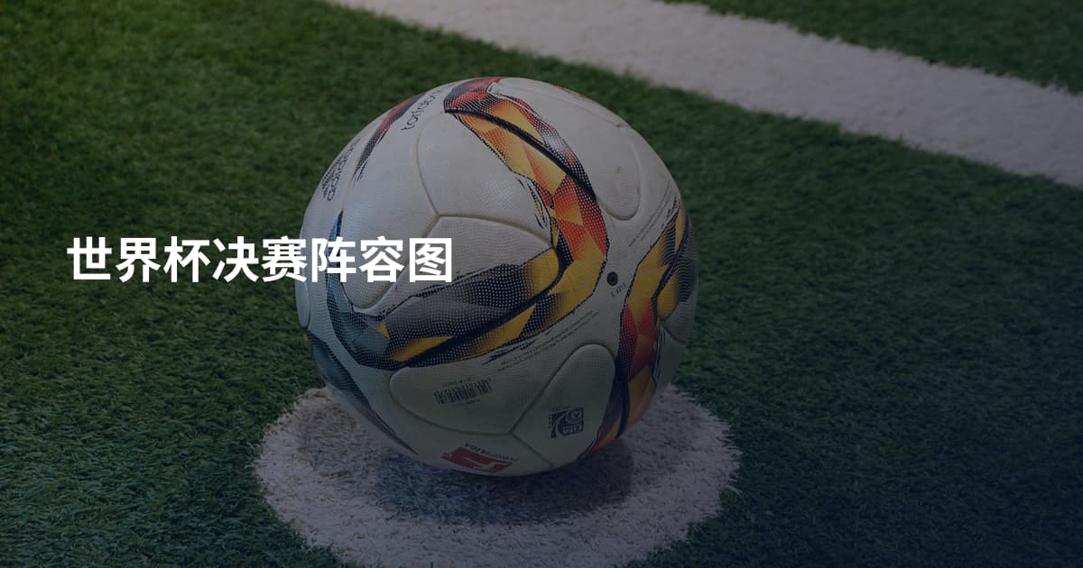 世界杯决赛阵容图