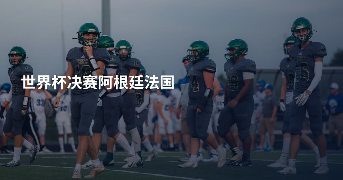 世界杯决赛阿根廷法国
