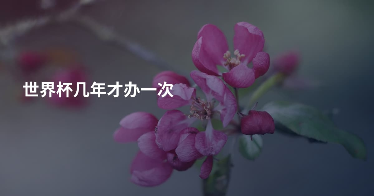 世界杯几年才办一次