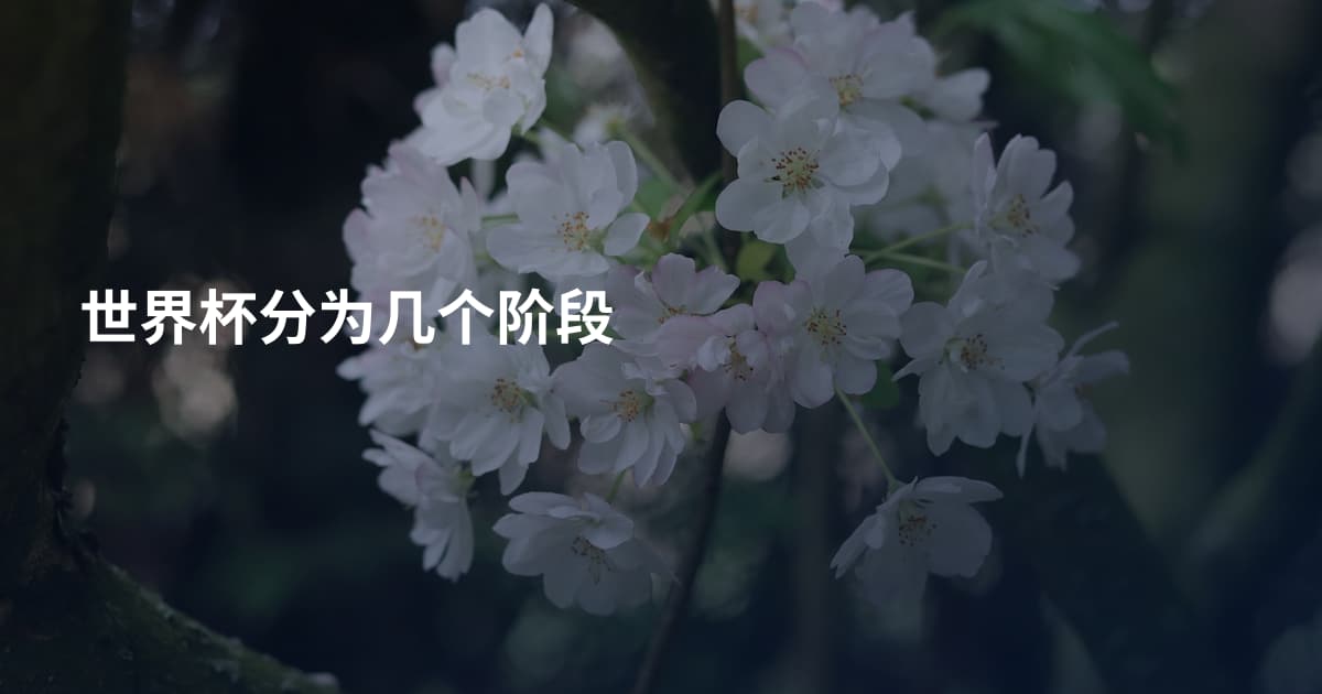 世界杯分为几个阶段