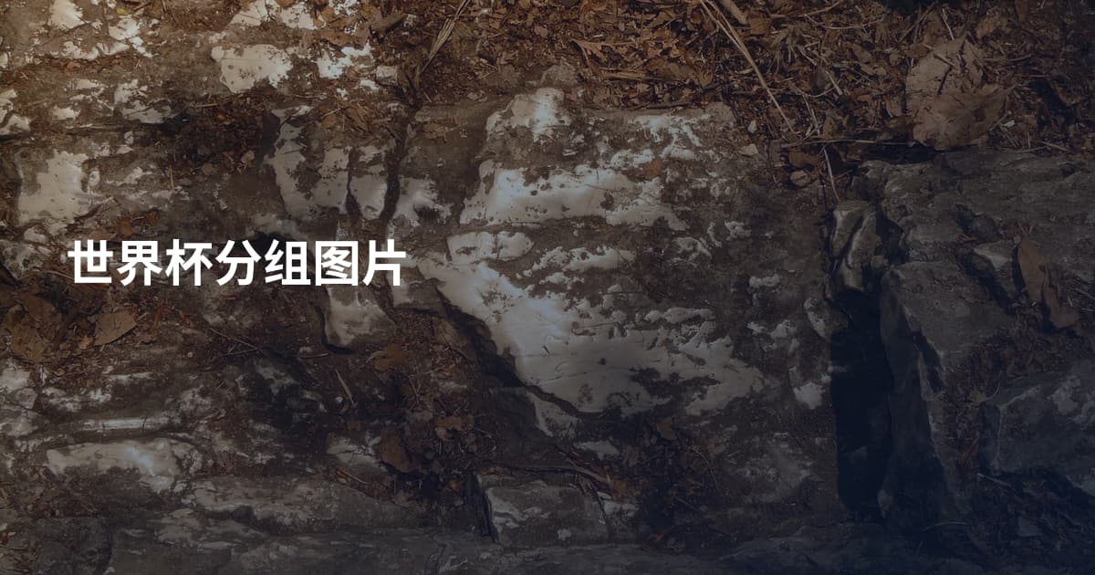 世界杯分组图片