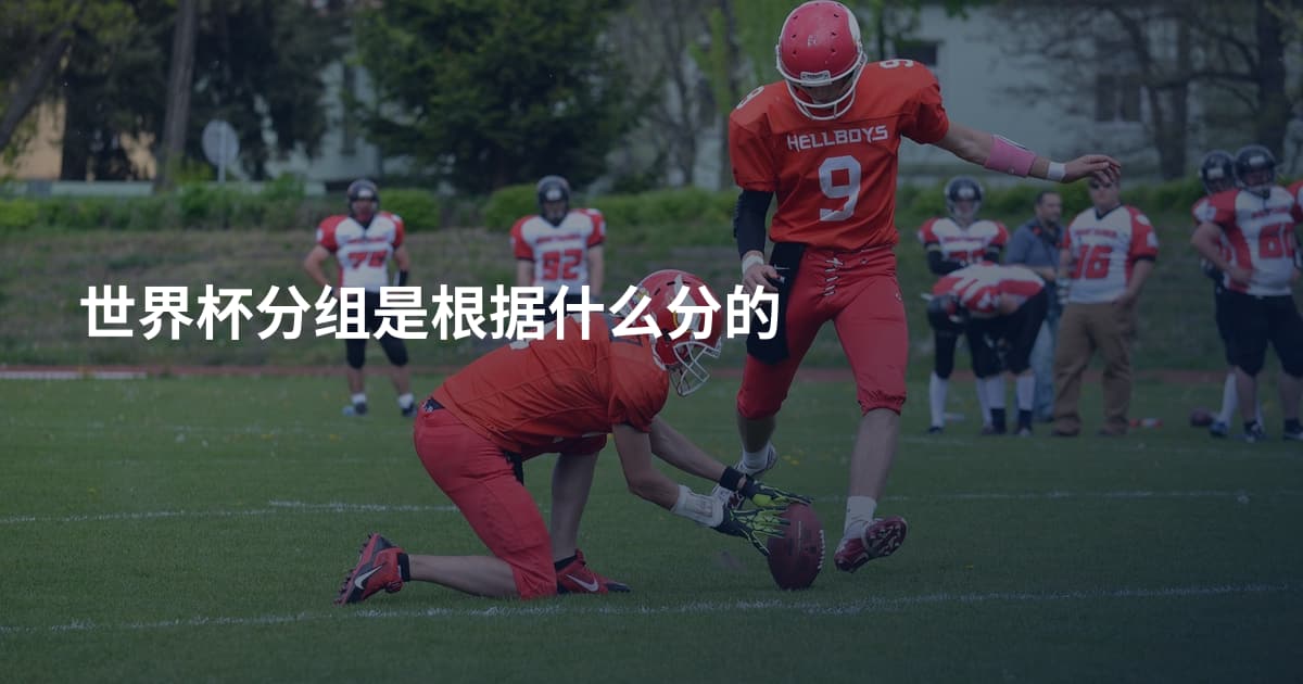 世界杯分组是根据什么分的