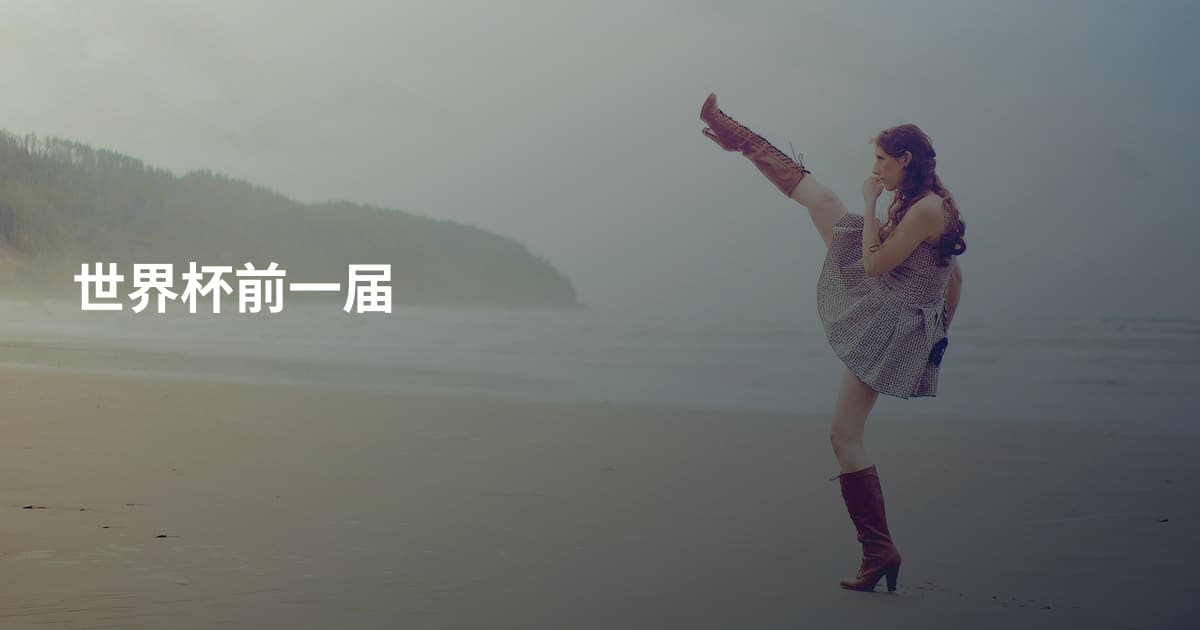 世界杯前一届
