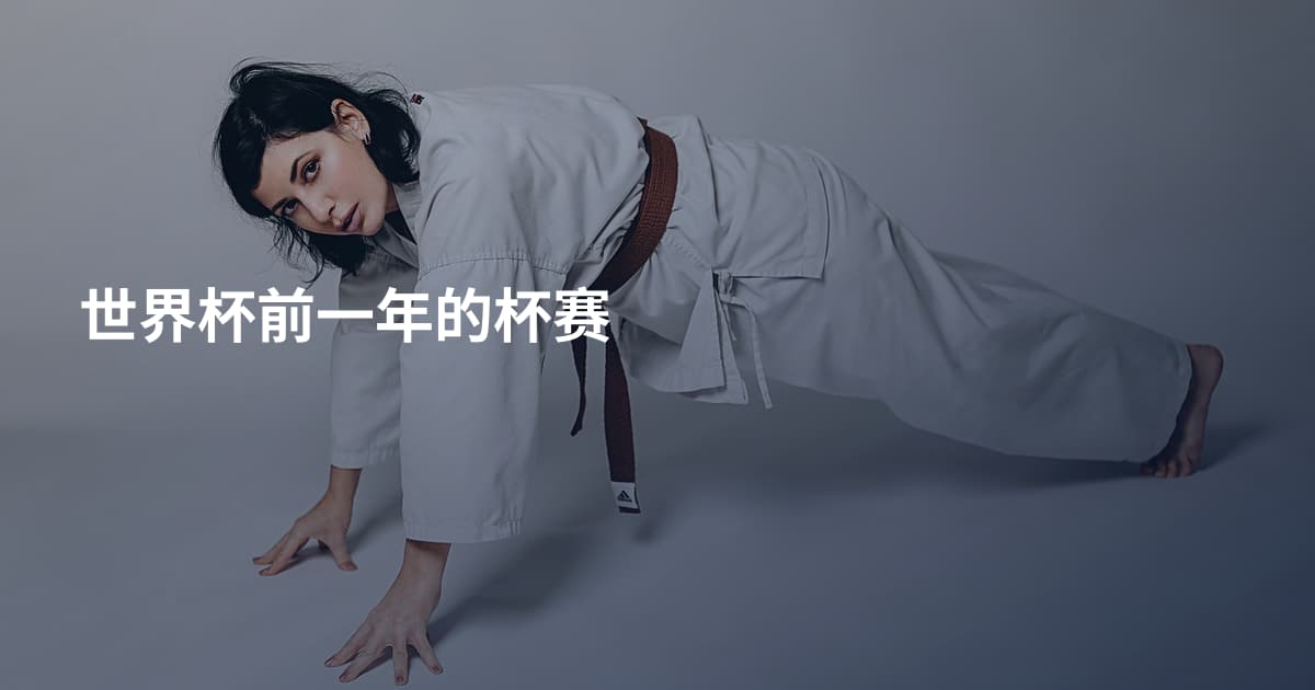 世界杯前一年的杯赛
