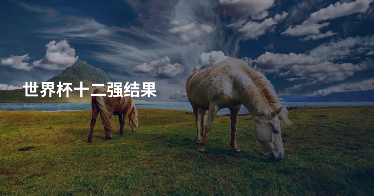 世界杯十二强结果