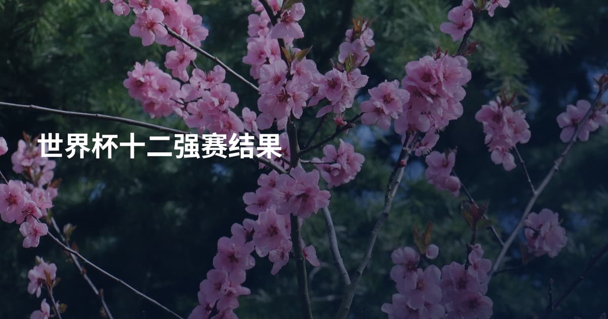 世界杯十二强赛结果