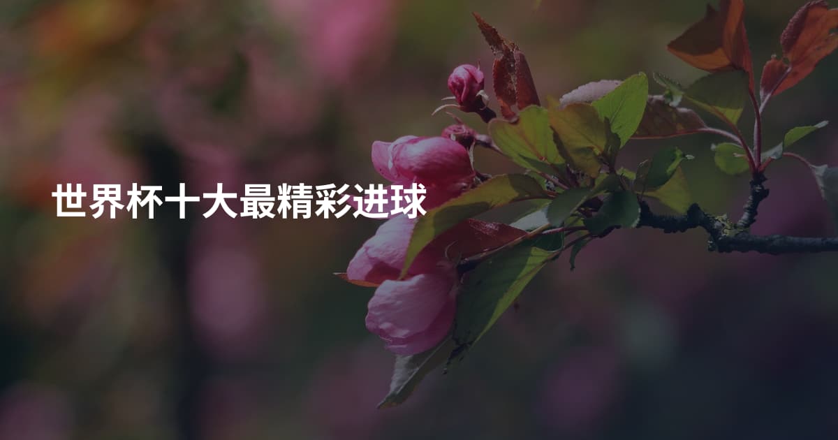 世界杯十大最精彩进球