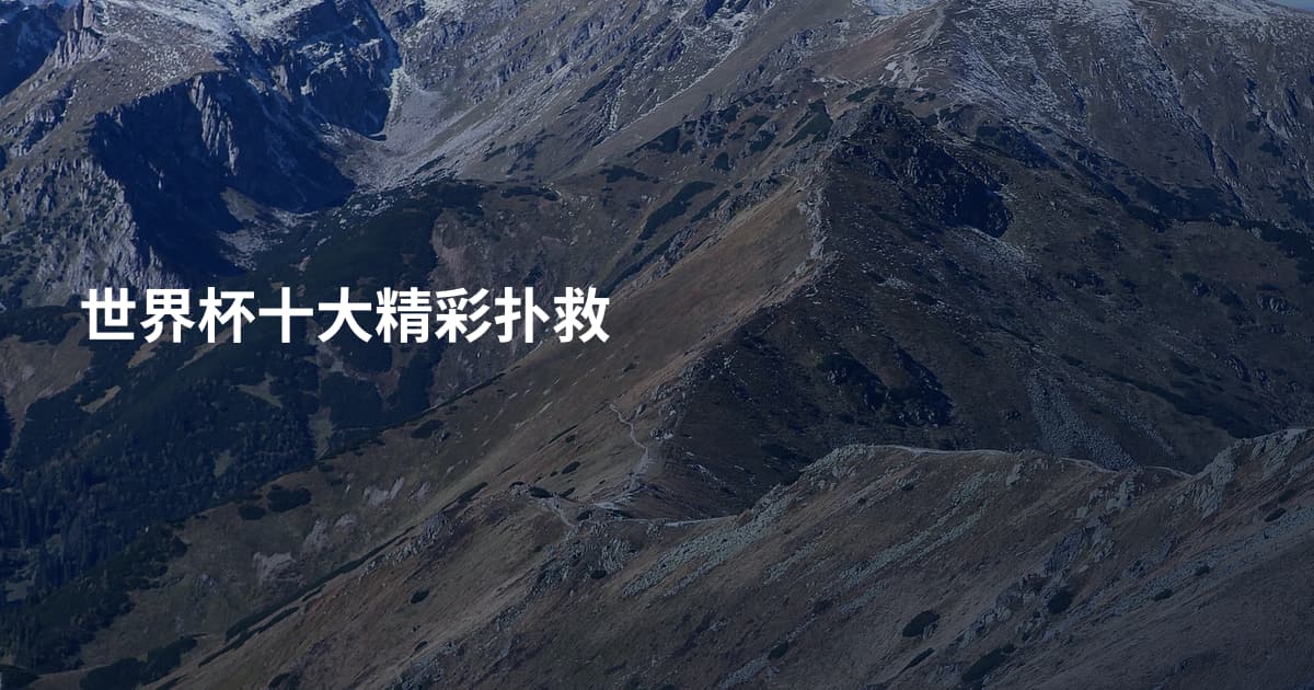 世界杯十大精彩扑救
