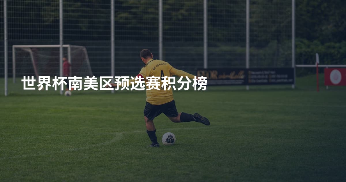 世界杯南美区预选赛积分榜