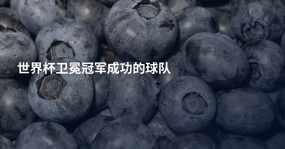 世界杯卫冕冠军成功的球队