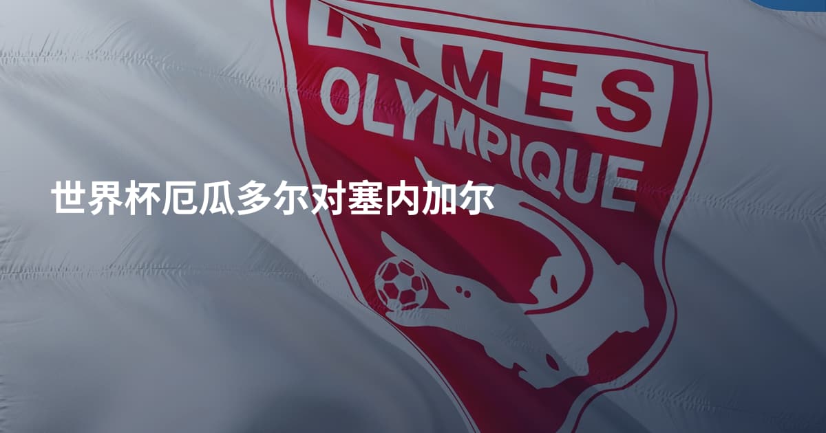 世界杯厄瓜多尔对塞内加尔