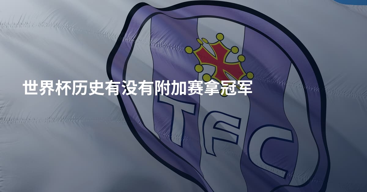世界杯历史有没有附加赛拿冠军