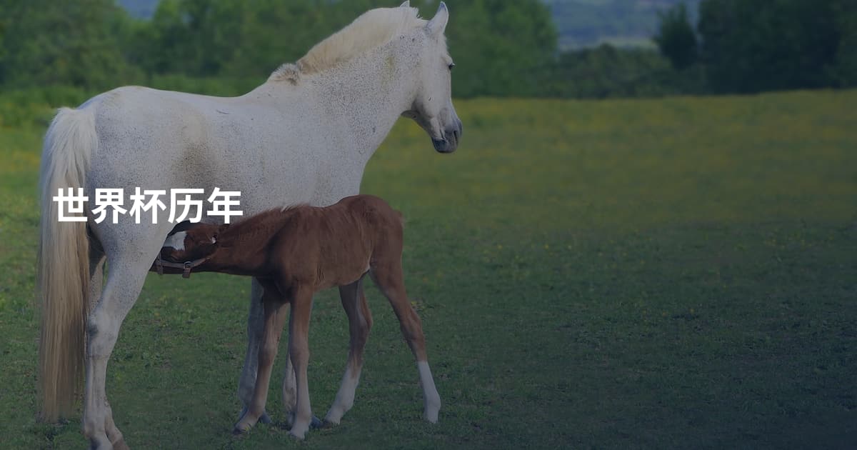 世界杯历年