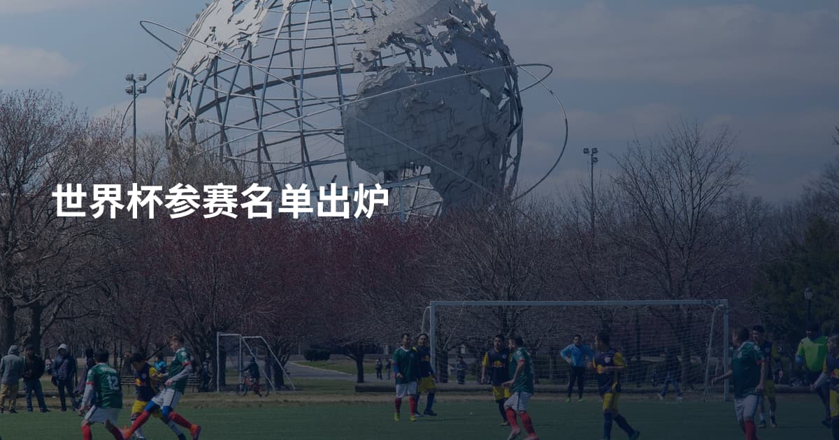 世界杯参赛名单出炉
