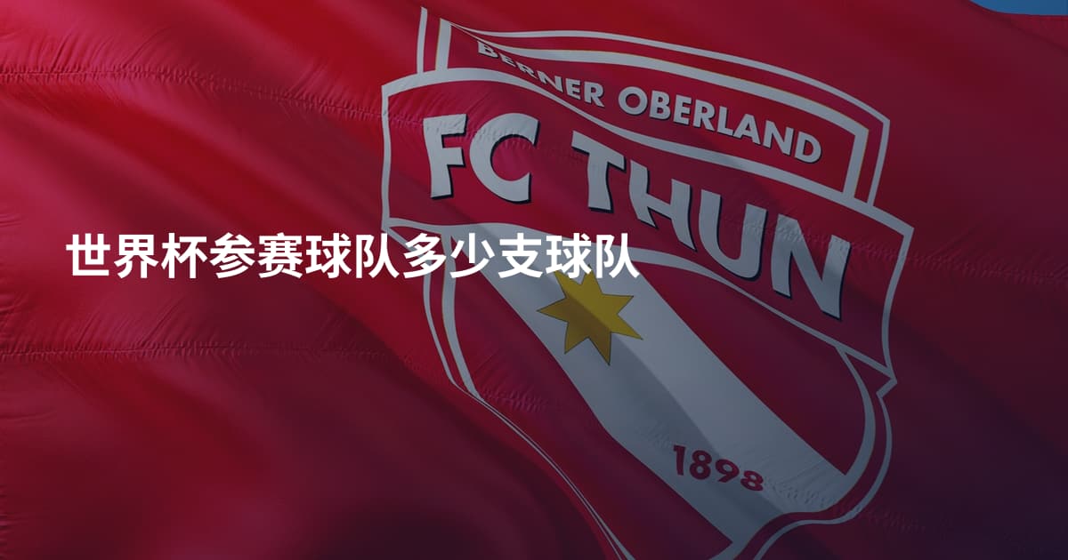 世界杯参赛球队多少支球队