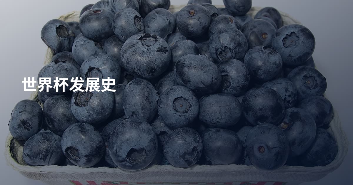 世界杯发展史