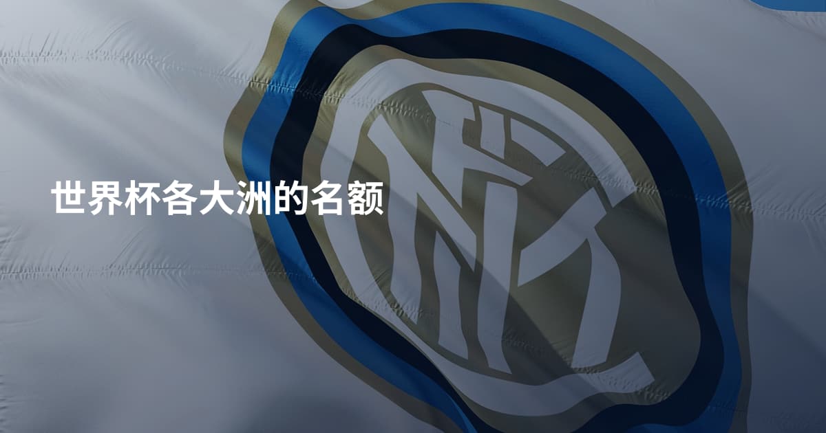 世界杯各大洲的名额