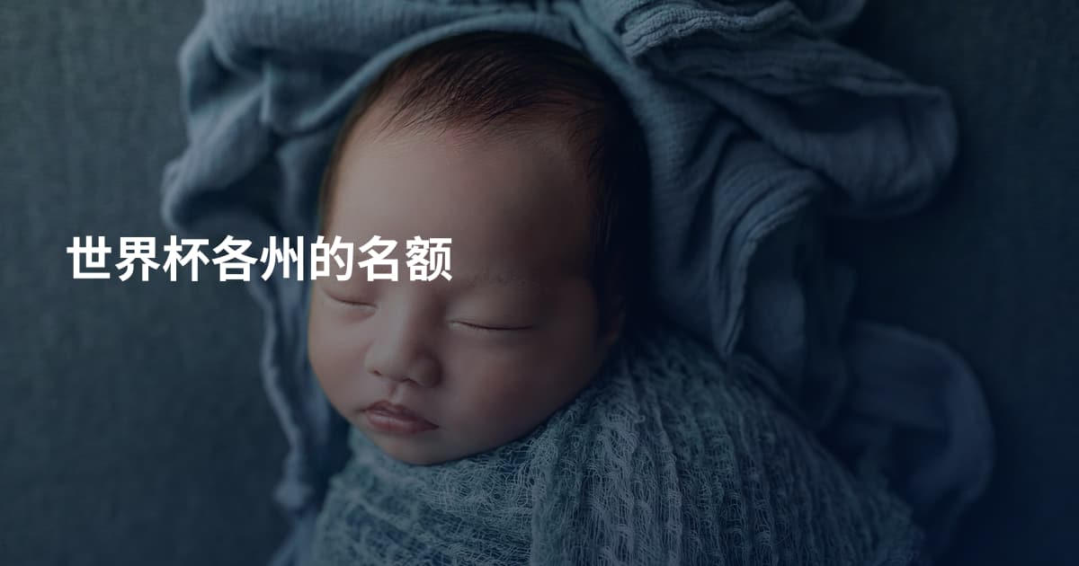 世界杯各州的名额