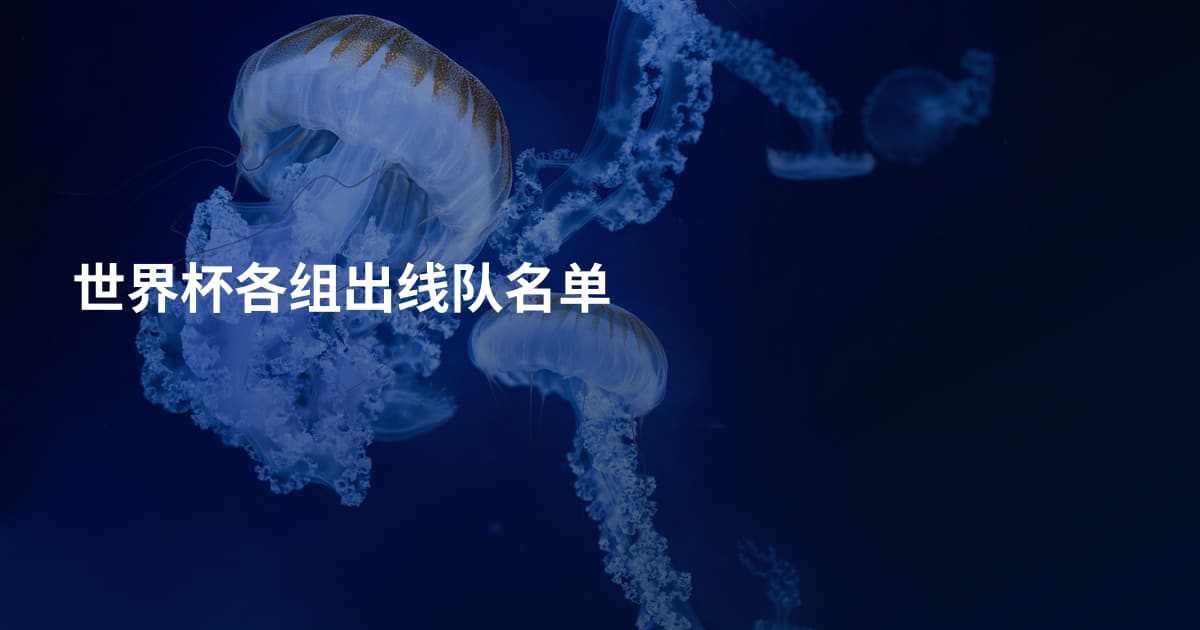 世界杯各组出线队名单