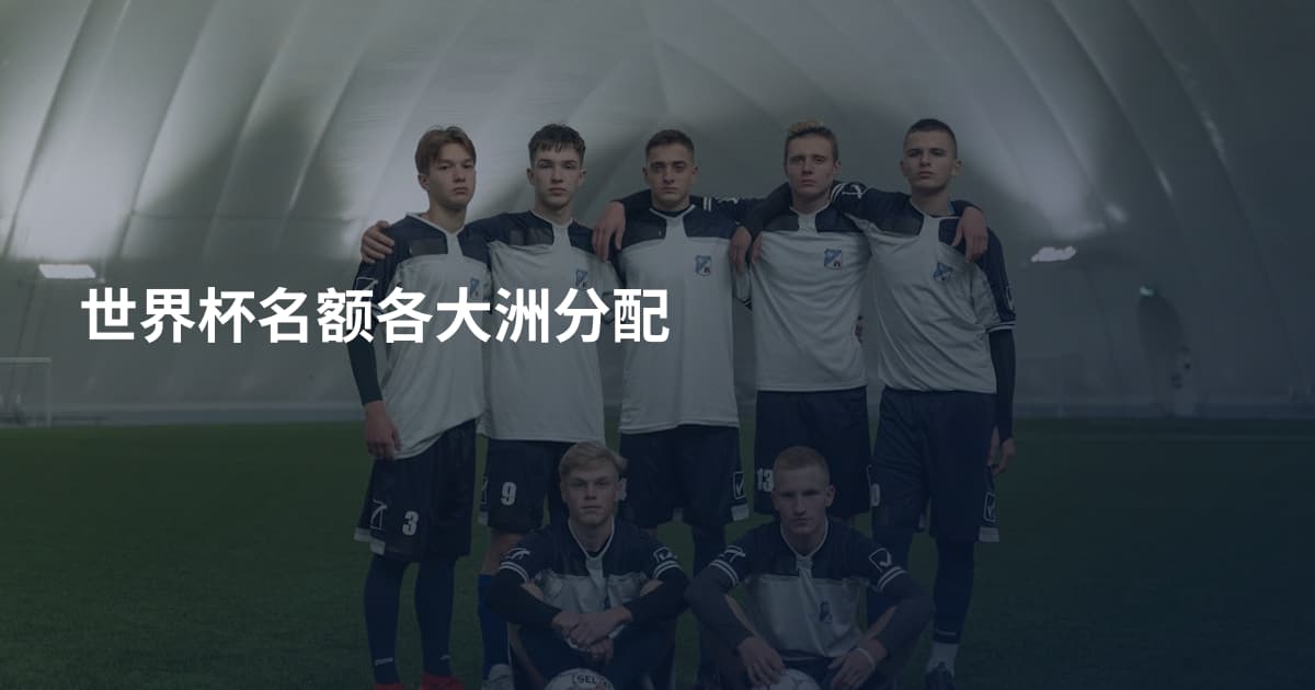 世界杯名额各大洲分配