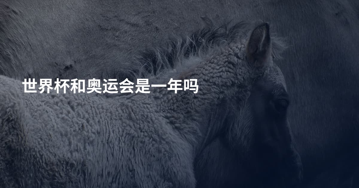 世界杯和奥运会是一年吗