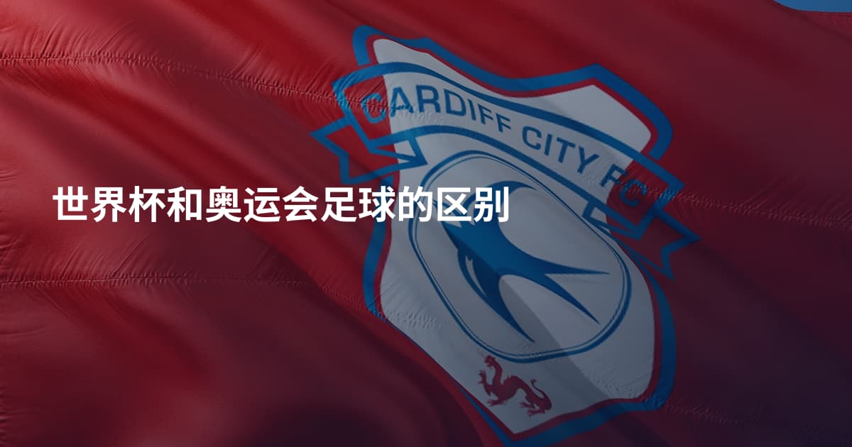 世界杯和奥运会足球的区别